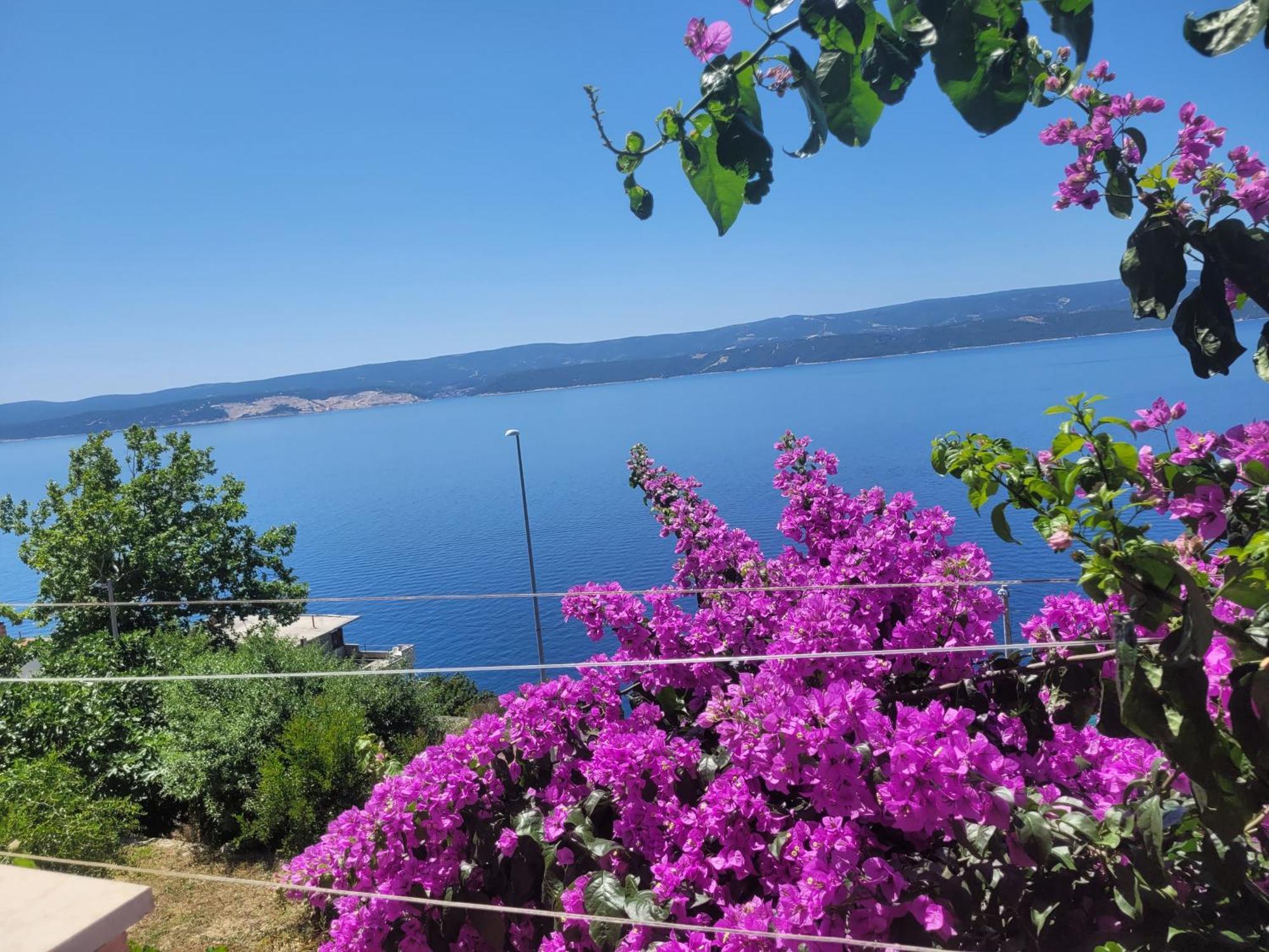 Apartments Coko Omiš Δωμάτιο φωτογραφία